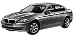 BMW F10 P331D Fault Code